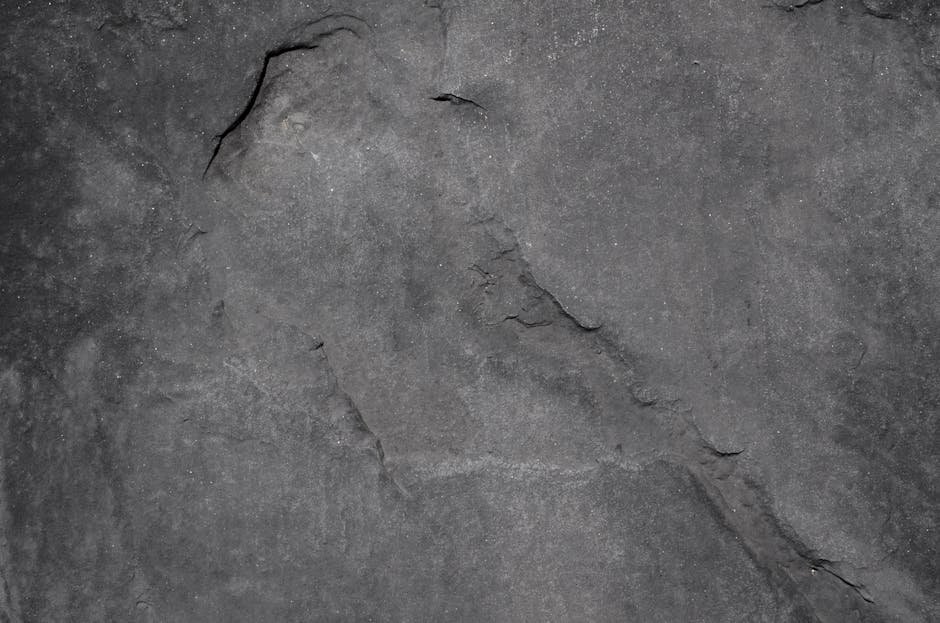 Close-up of a textured gray stone surface, highlighting natural patterns and details.