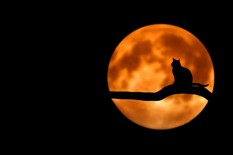 A silhouette of a cat sitting on a branch under a glowing full moon, creating an eerie night scene