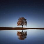 Serene night landscape with a solitary tree reflecting in calm waters beneath a starry sky.