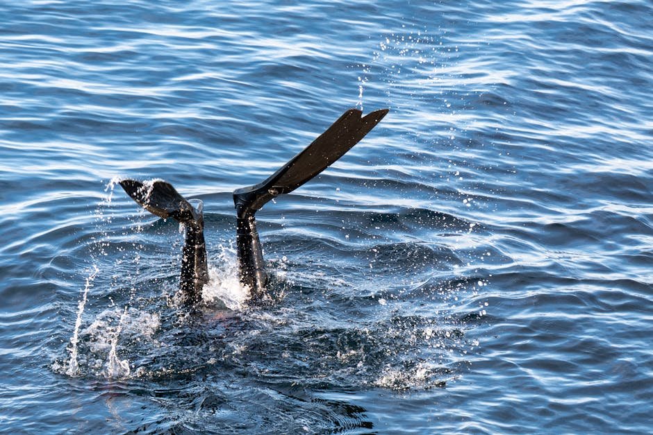 A diver's legs and flippers emerge from the calm blue ocean, showcasing underwater excitement.