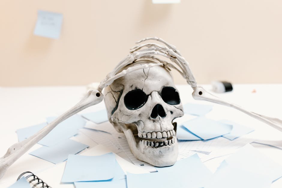 A skeleton rests on a desk with papers, symbolizing exhaustion and overwork.