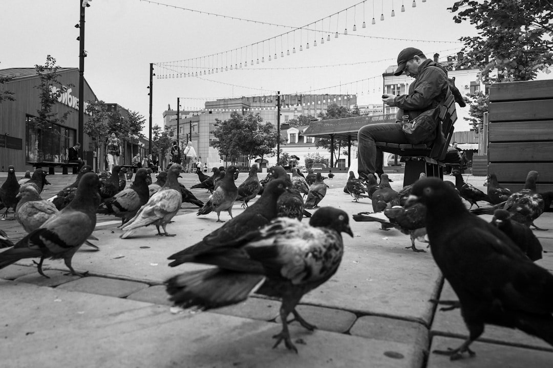 Man plays for pigeons in a public space.