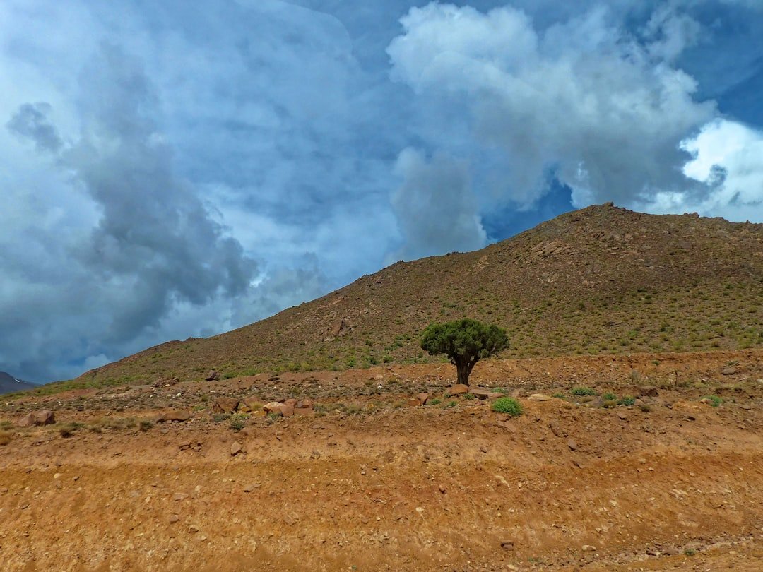 green grass field under white clouds during daytime